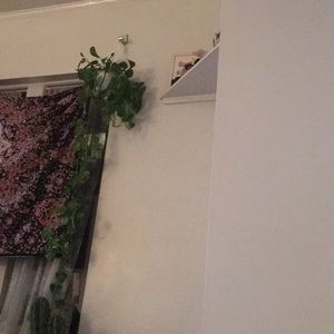 Meet your Posher, Yeena